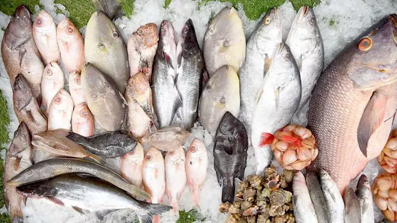 سعر كيلو البلطي يسجل 84 جنيها في تعاملات سوق العبور اليوم